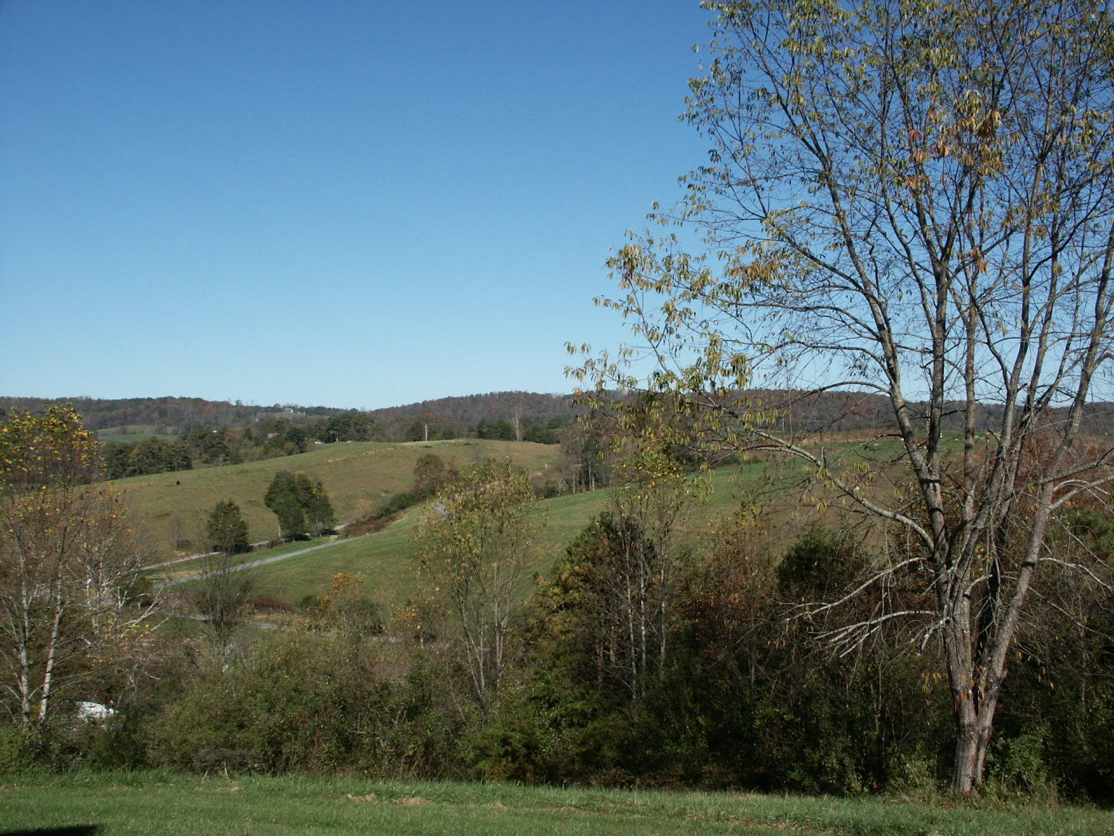 1469 Prease Road Buchanan, VA 24066 - Photo 20 of 21 PICT0606