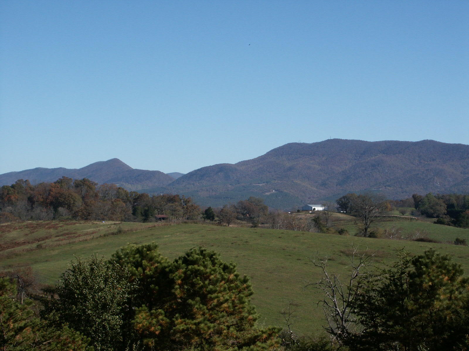 1469 Prease Road Buchanan, VA 24066 - Photo 21 of 21 PICT0607
