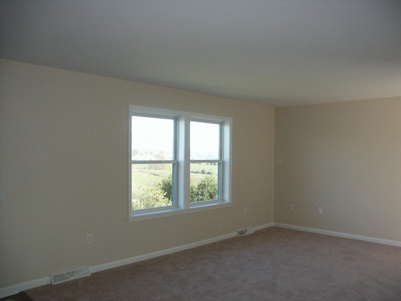 1469 Prease Road Buchanan, VA 24066 - Photo 9 of 21 PICT0621