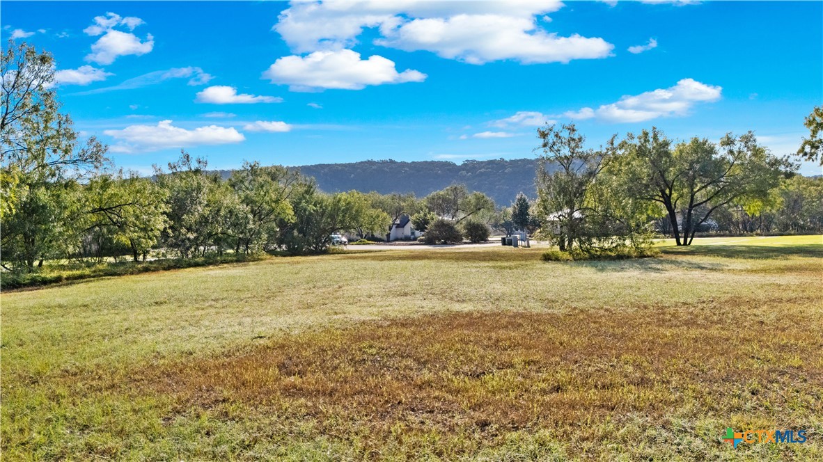 832 Wade Road New Braunfels, TX 78132 - Photo 4 of 11