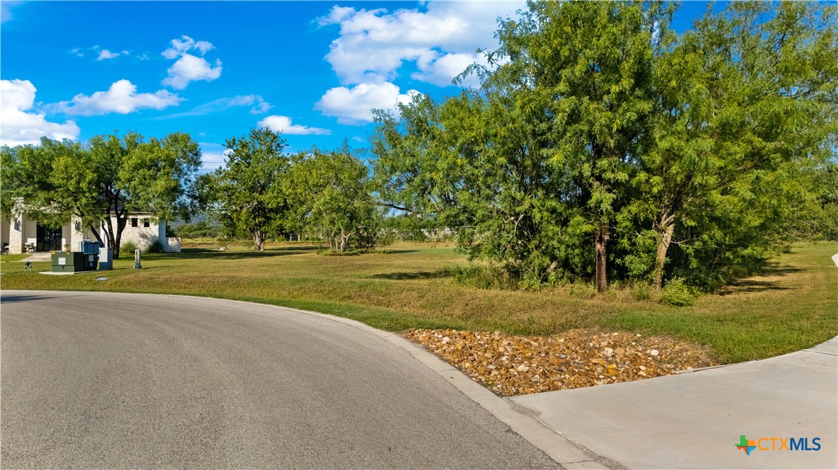 832 Wade Road New Braunfels, TX 78132 - Photo 9 of 11
