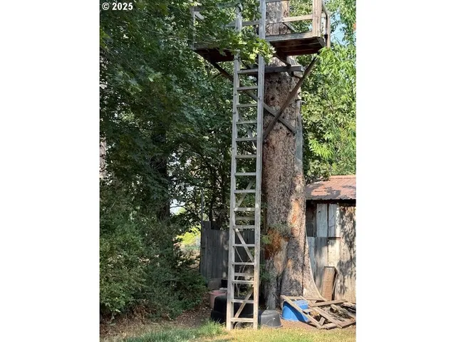 a bird view of a house
