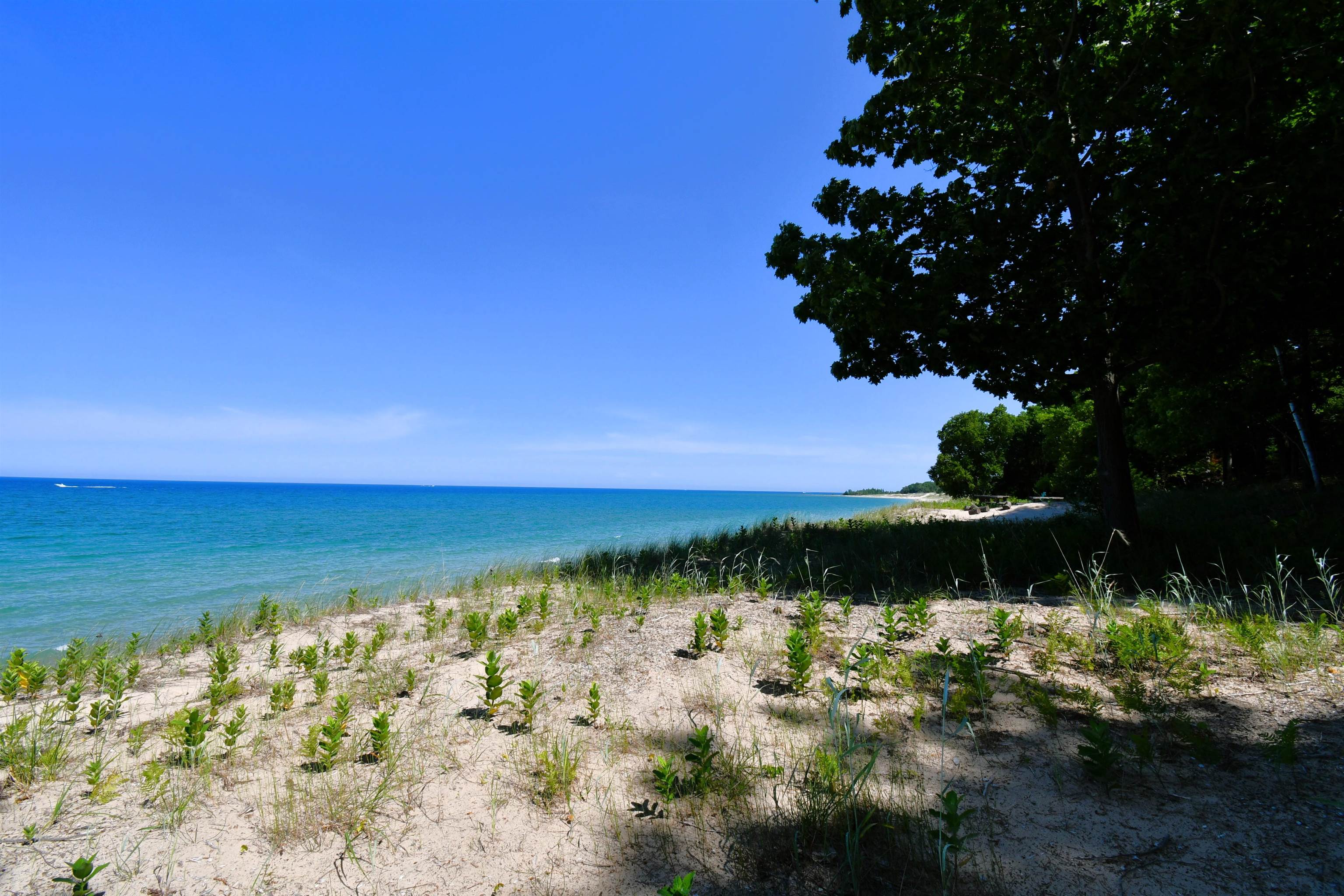0 Mt McSauba Road Charlevoix, MI 49720 - Photo 17 of 33