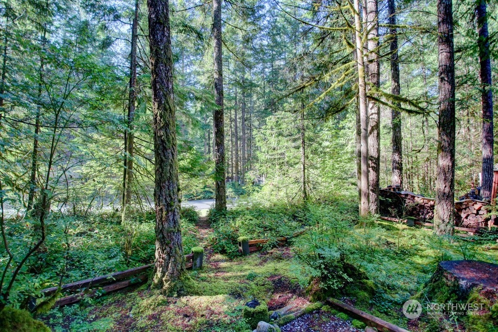 5-2 Wilderness Way Maple Falls, WA 98266 - Photo 25 of 39