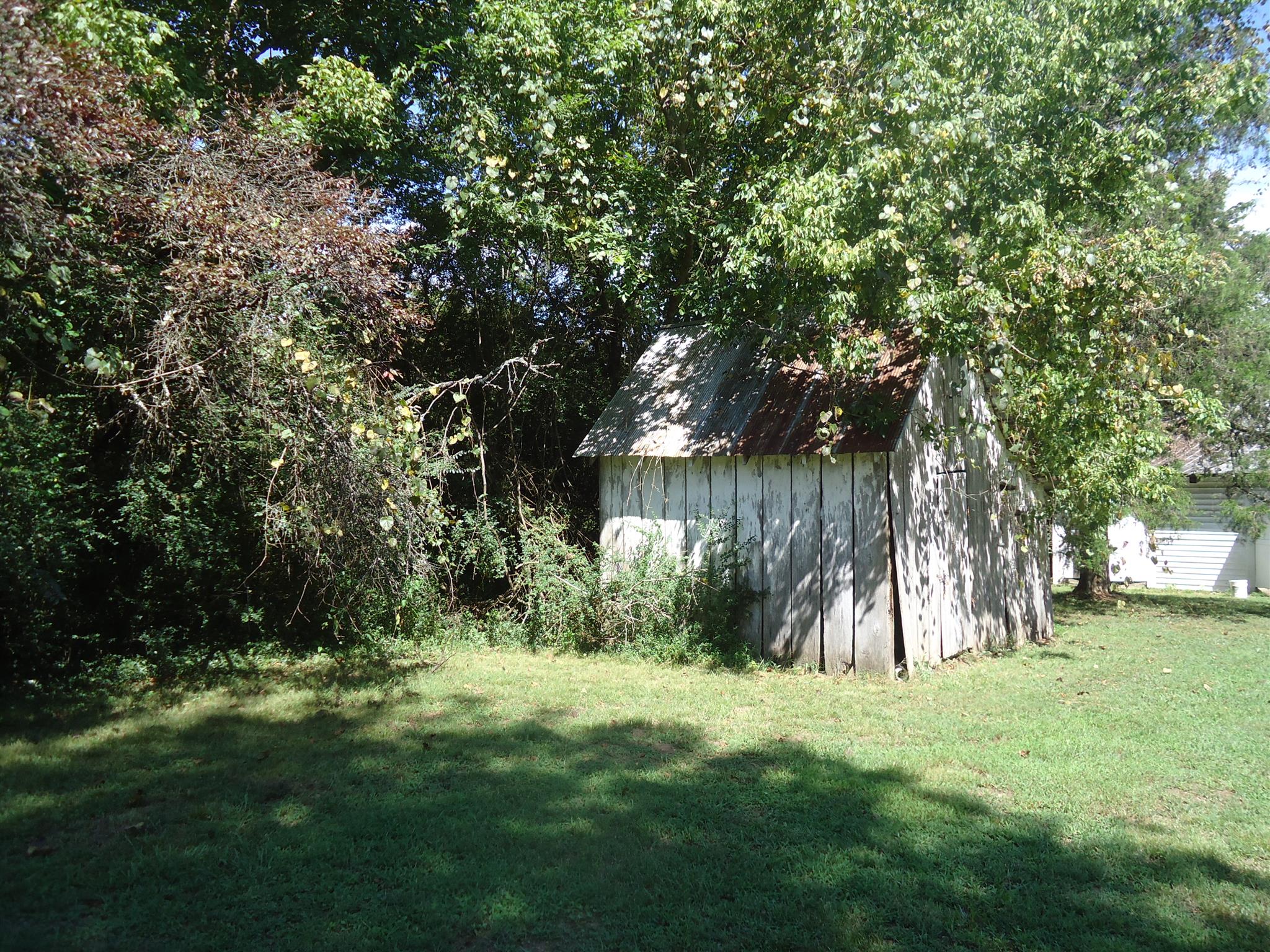 161 Bee Road Prospect, TN 38477 - Photo 6 of 19 a view of backyard with green space