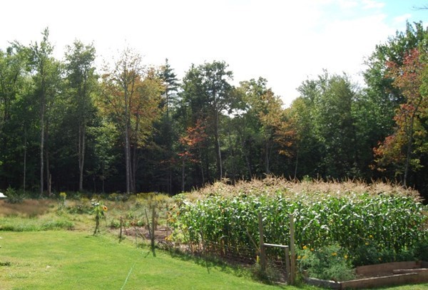 48 Rockingstone Park Road Barre, MA 01005 - Photo 3 of 17 a backyard of a house with lots of green space