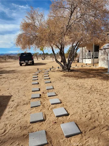 a view of a yard with plants and trees
