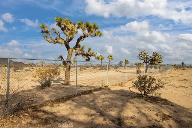 a view of a snow yard