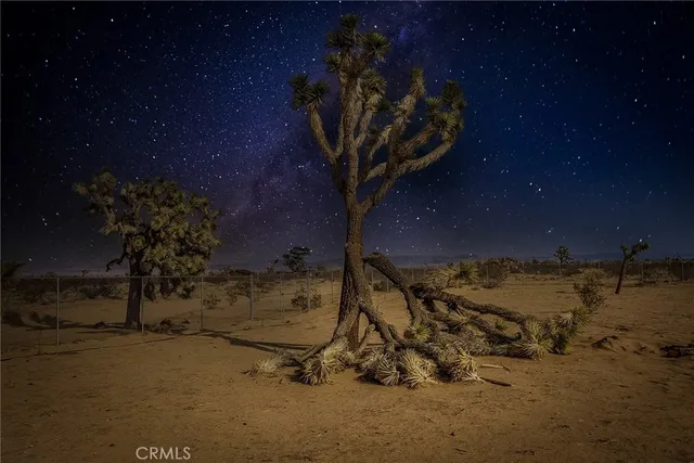 a view of a backyard of the house