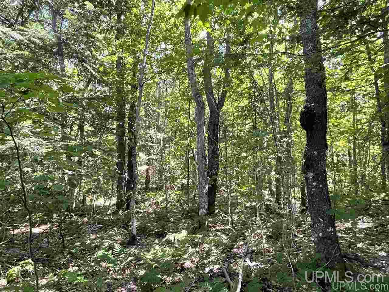 14822 North Sunken Lake Road Seney, MI 49883 - Photo 4 of 41