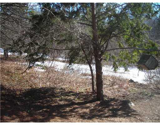 67 Roberts Ridge Road Waterboro, ME 04030 - Photo 4 of 25 Land. Sloping side yard view