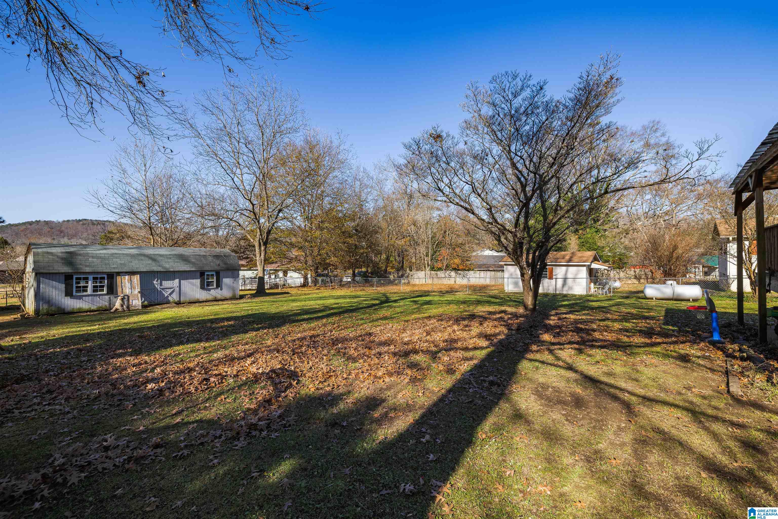 66 Virginia Street Oneonta, AL 35121 - Photo 32 of 37