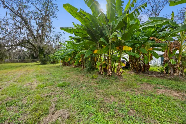 $299,900 | 196 Country Craft Road, Estill, SC 29918