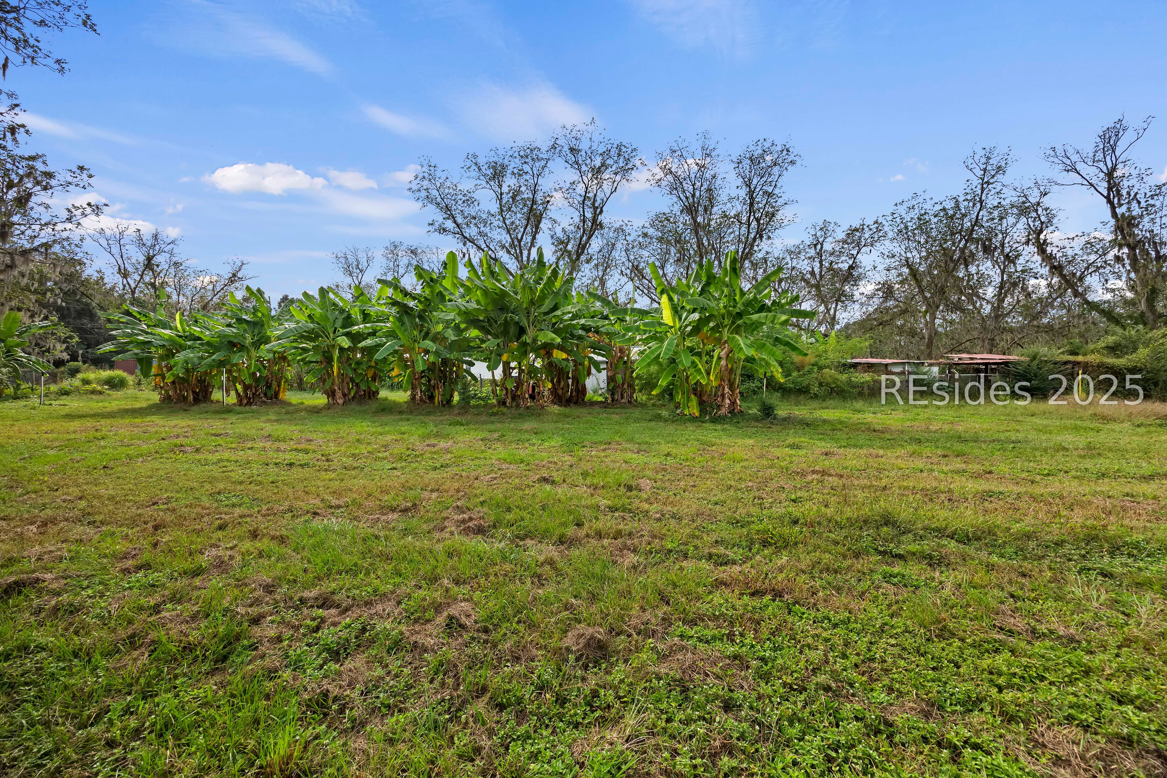 196 Country Craft Road Estill, SC 29918 - Photo 34 of 64