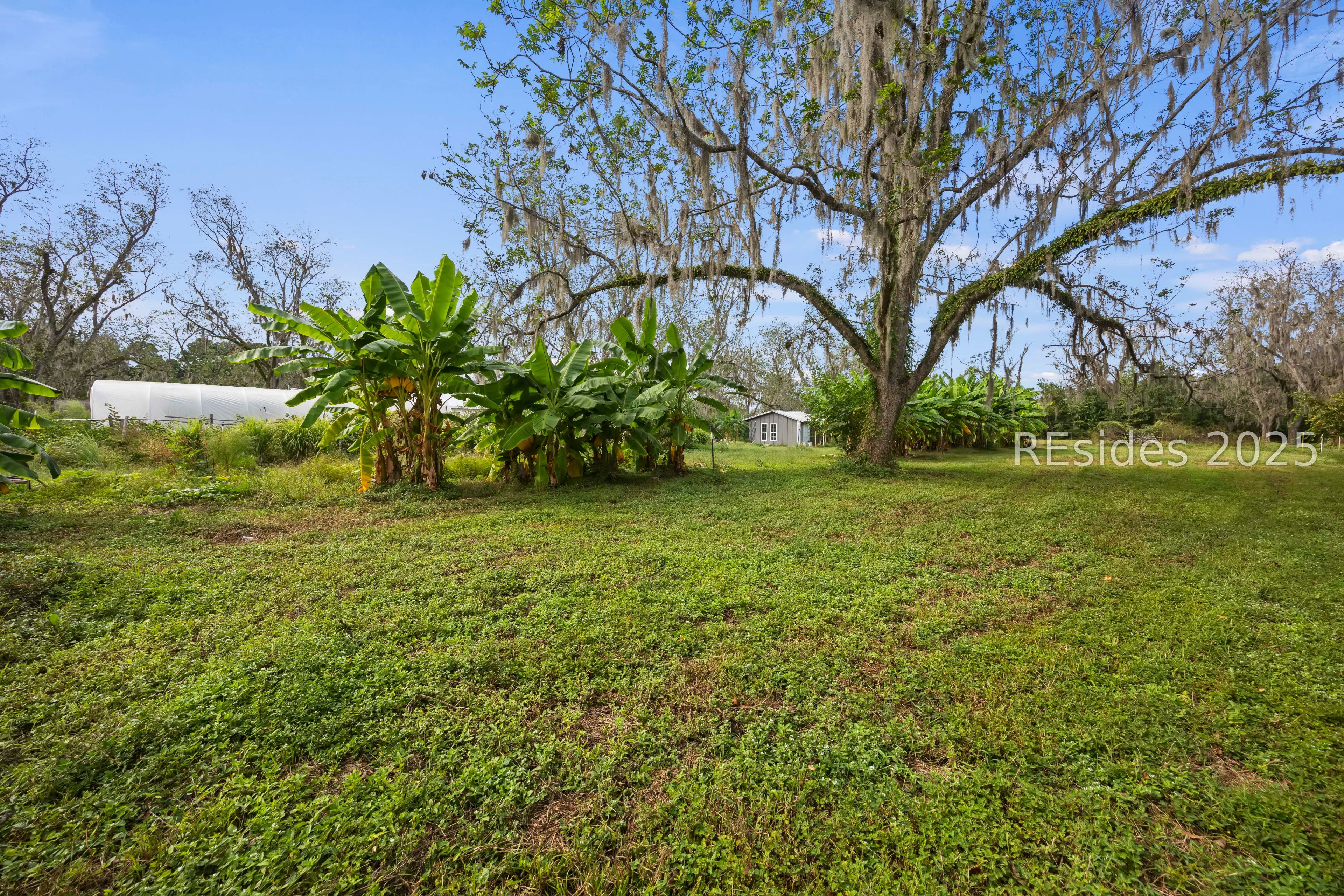 196 Country Craft Road Estill, SC 29918 - Photo 37 of 64