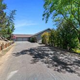 a view of a yard with plants and trees