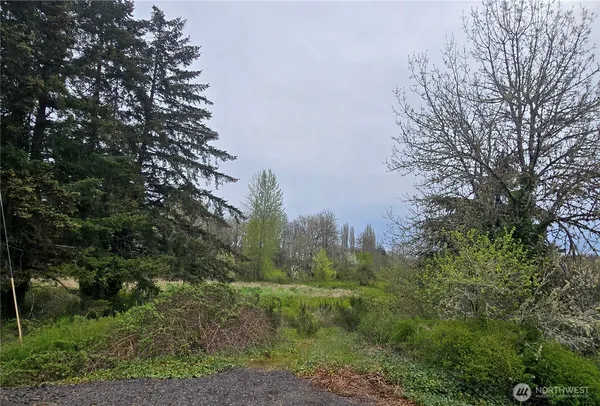 a big yard with lots of green space and plants