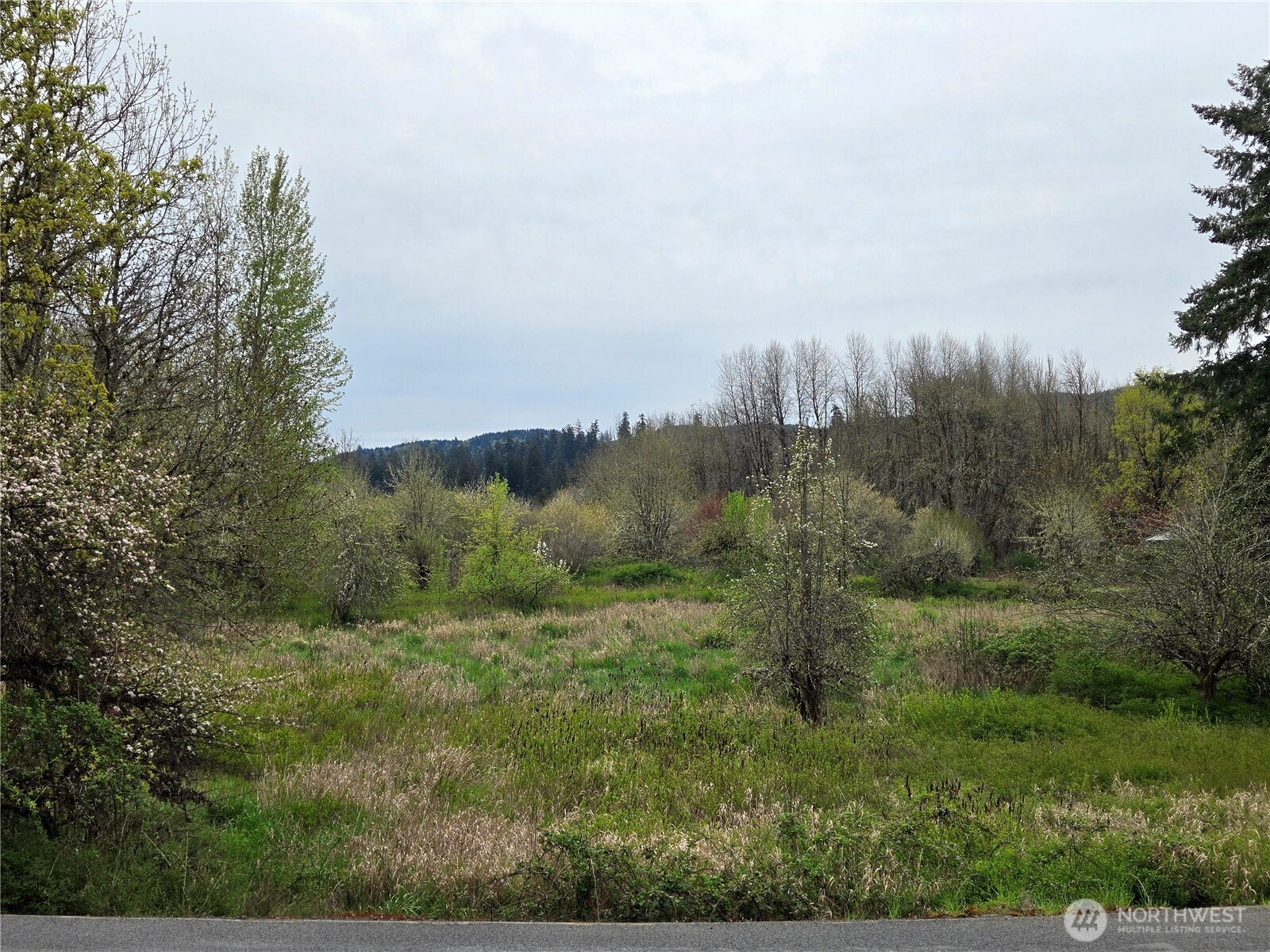 198 Chandler Road Chehalis, WA 98532 - Photo 2 of 6 a view of a field of grass and trees