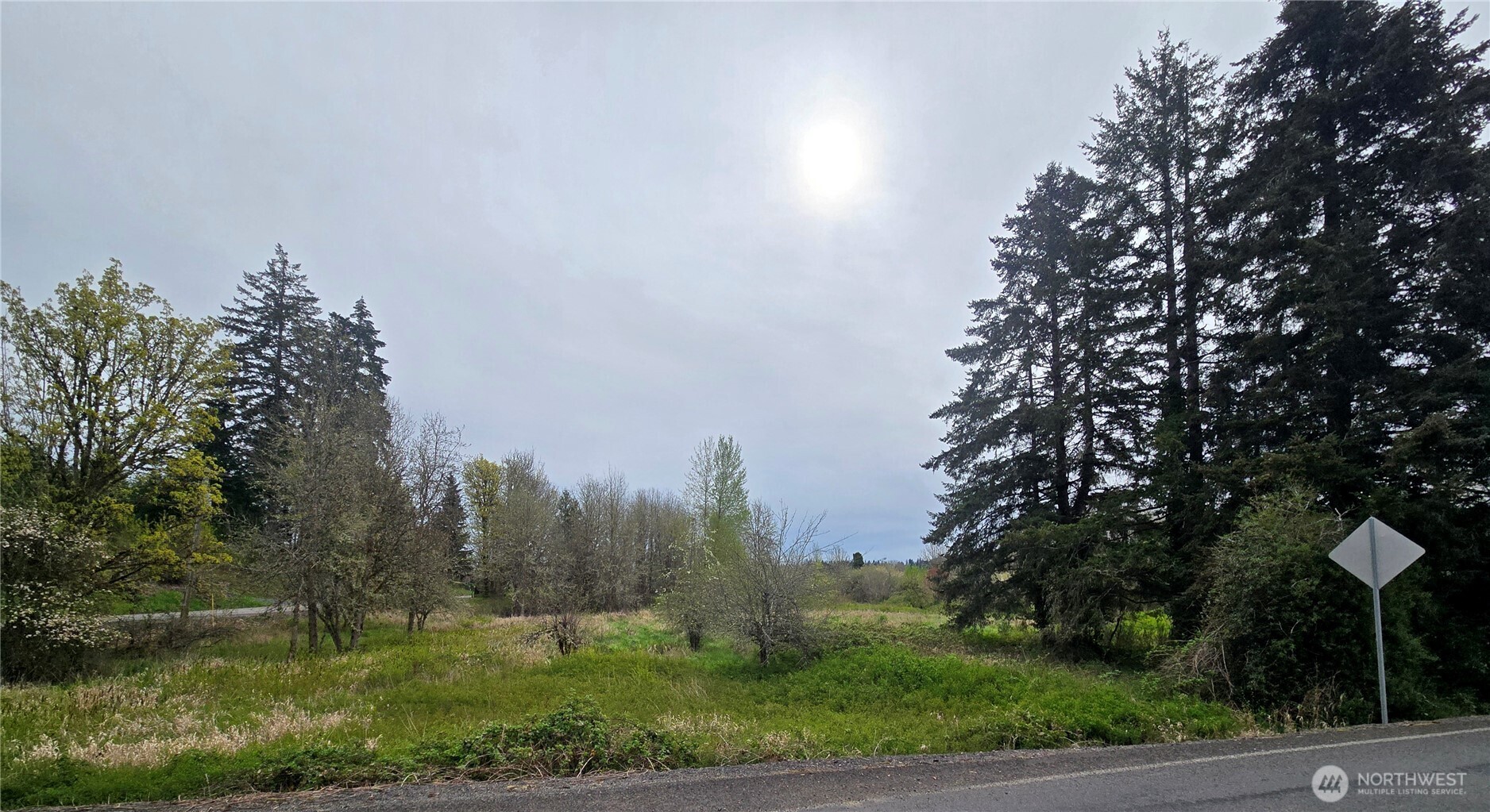 198 Chandler Road Chehalis, WA 98532 - Photo 3 of 6 a view of a yard with large trees