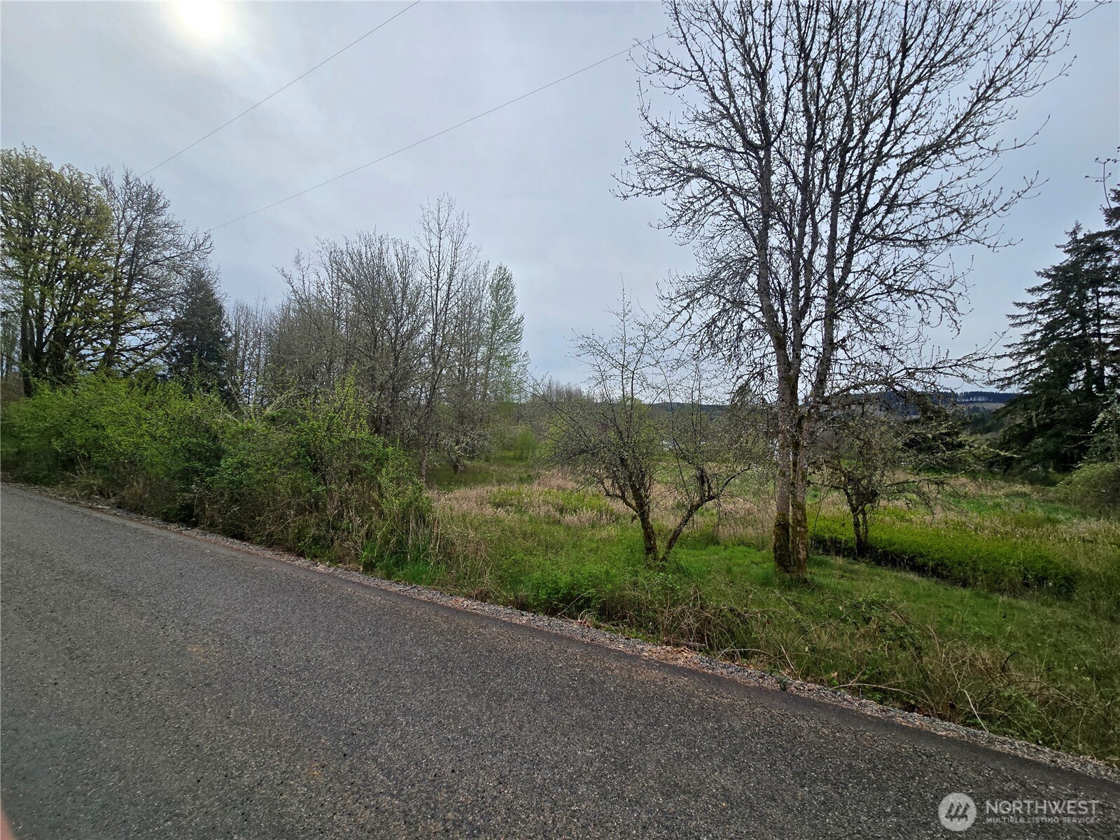 198 Chandler Road Chehalis, WA 98532 - Photo 5 of 6 a view of a road with a yard
