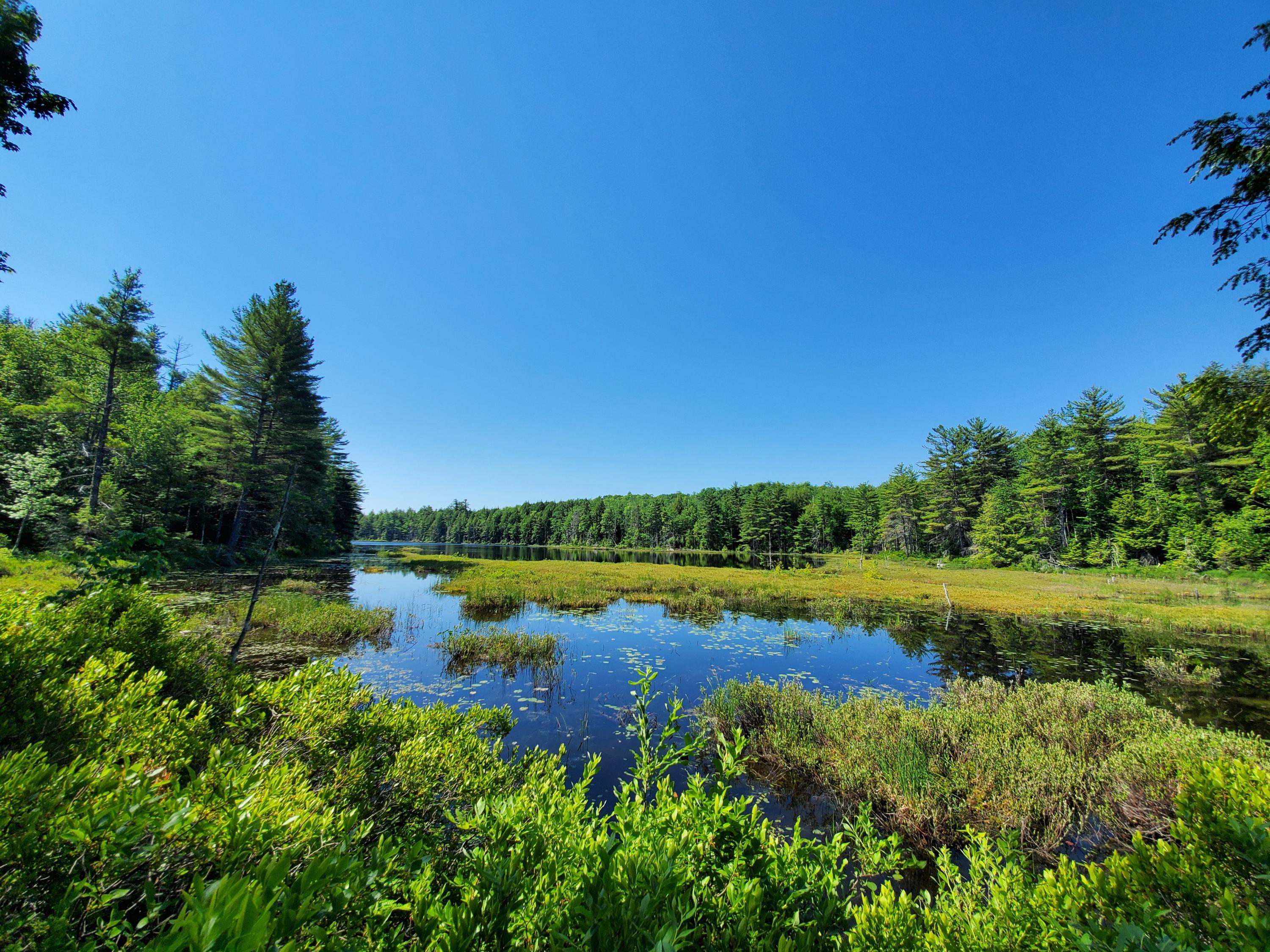 406 Ladd Road Mercer, ME 04957 - Photo 9 of 72 20200620_100554