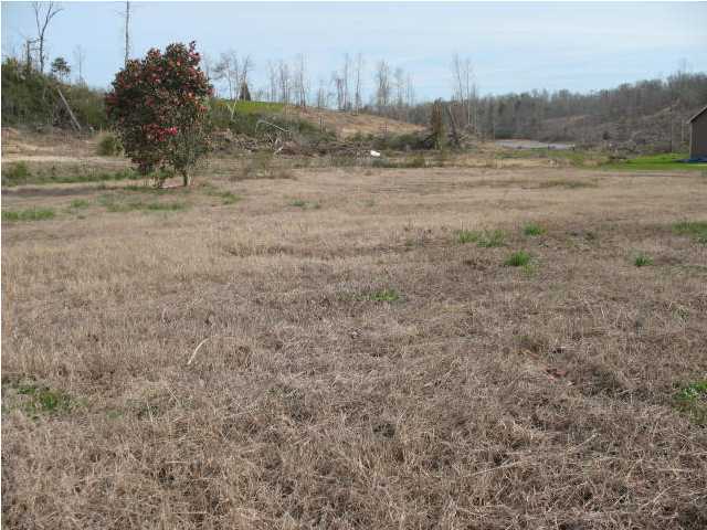 7211 Short Tail Springs Road Harrison, TN 37341 - Photo 1 of 3 Primary Photo
