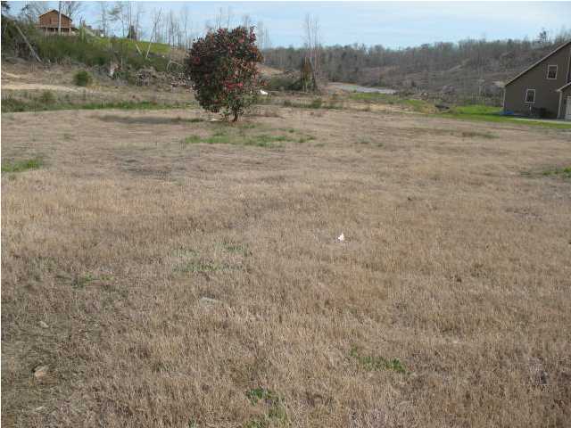 7211 Short Tail Springs Road Harrison, TN 37341 - Photo 3 of 3 Additional Photo