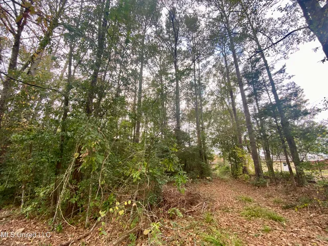 $14,600 | 800 Jackson Avenue, McComb, MS 39648