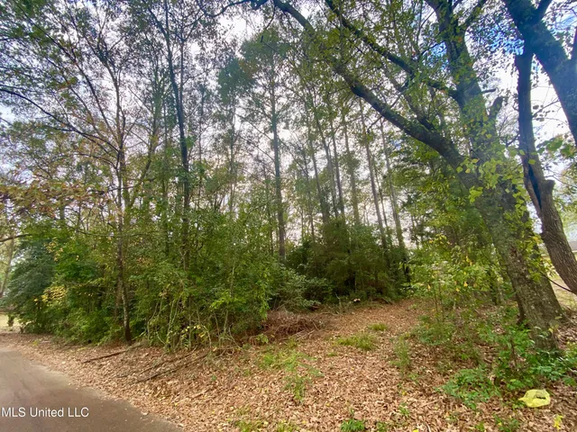 $14,600 | 800 Jackson Avenue, McComb, MS 39648