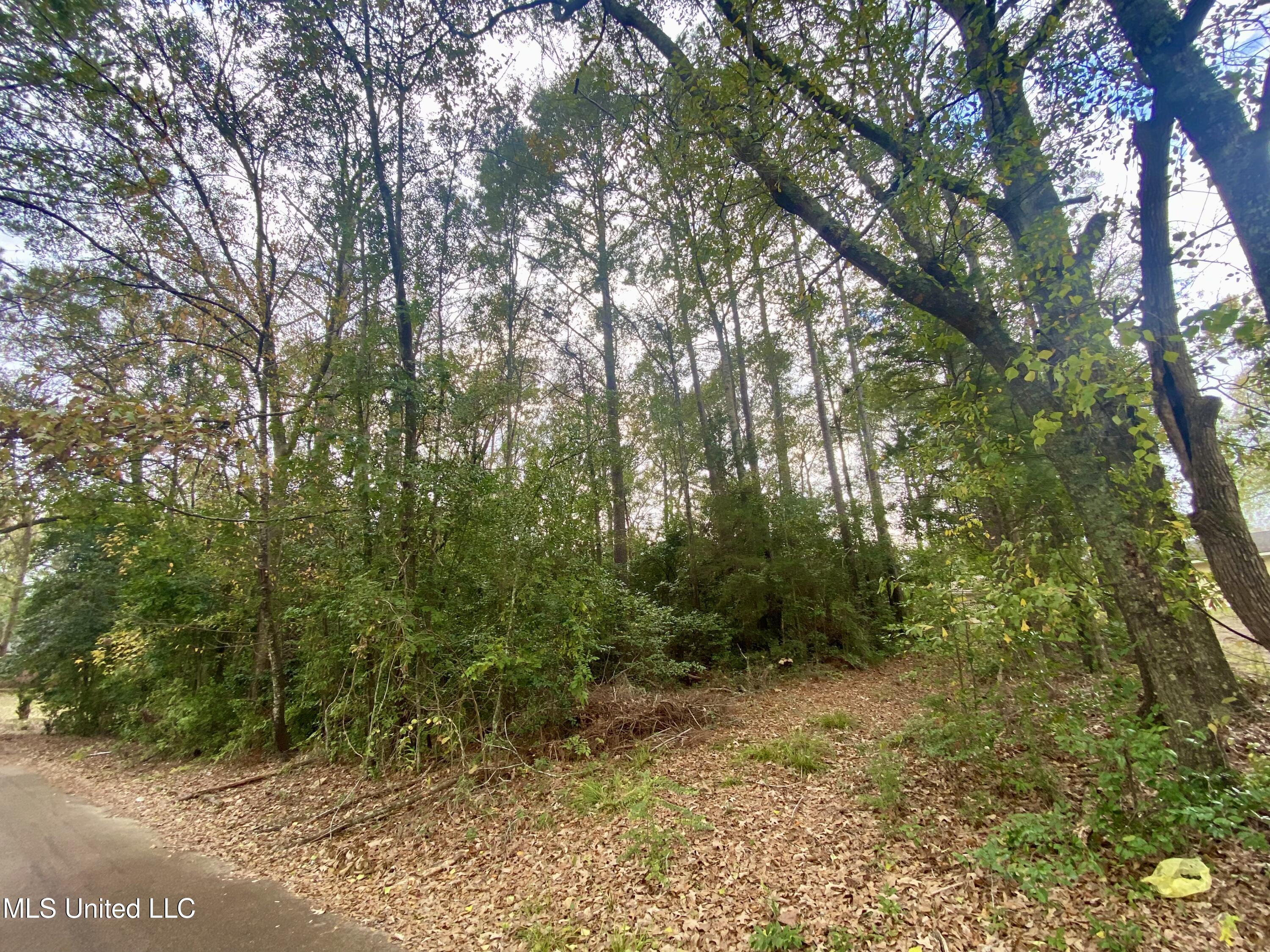 800 Jackson Avenue McComb, MS 39648 - Photo 3 of 5 IMG_8029