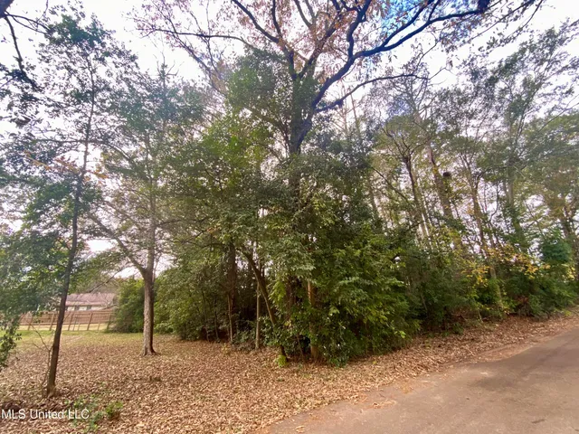 $14,600 | 800 Jackson Avenue, McComb, MS 39648