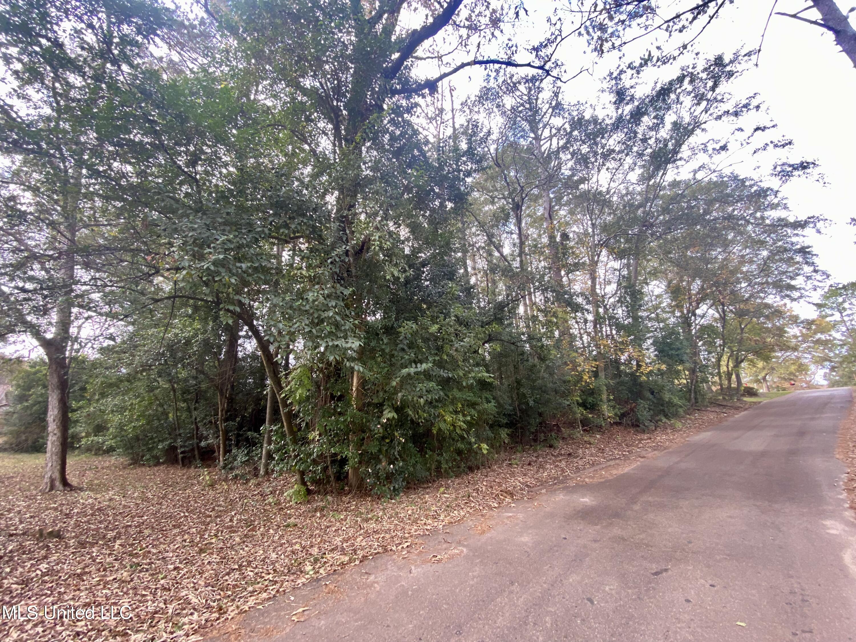 800 Jackson Avenue McComb, MS 39648 - Photo 5 of 5 IMG_8032