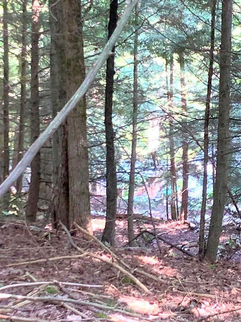 30 Maple Hill Road Saranac Lake, NY 12983 - Photo 25 of 27 Gallery Image 25