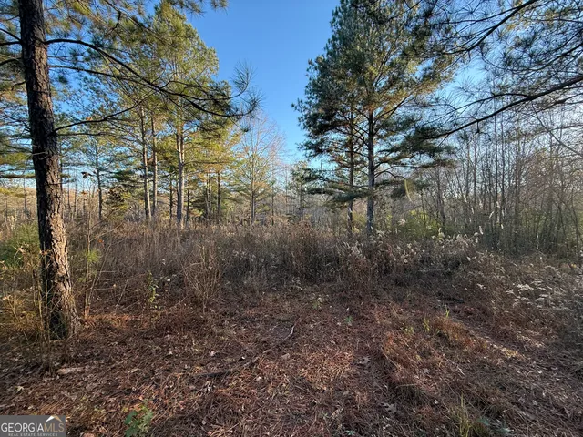 $55,000 | 0 Oliver Road, Barnesville, GA 30204