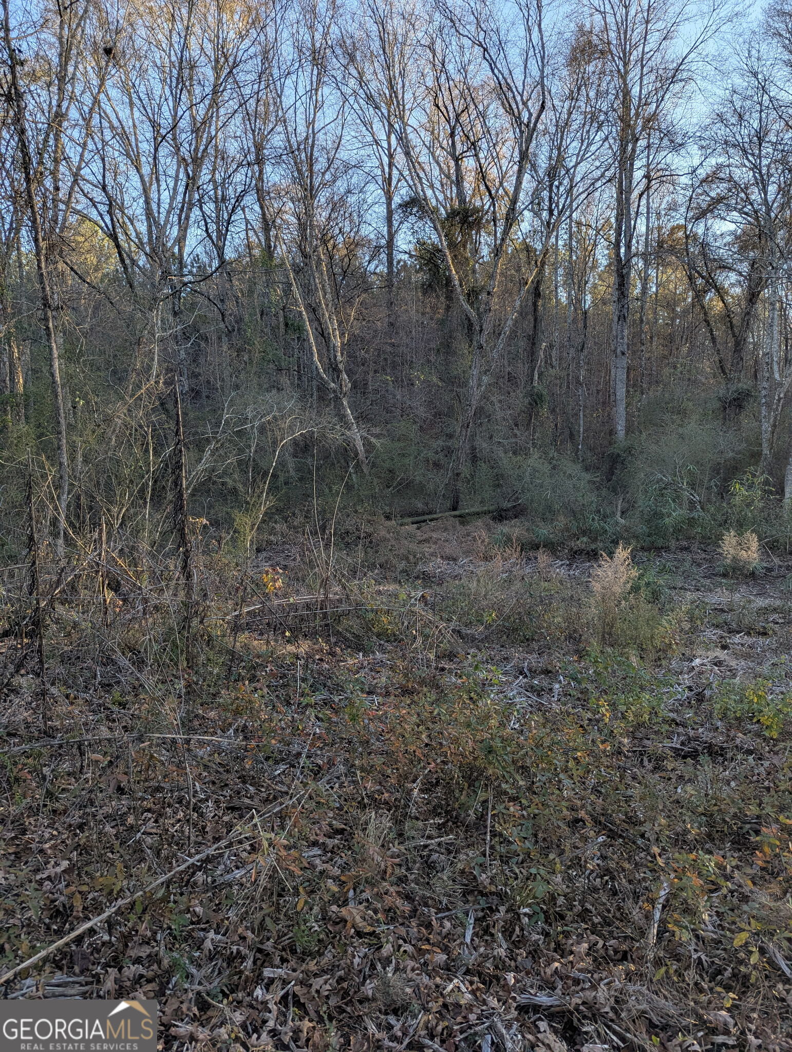 0 Oliver Road Barnesville, GA 30204 - Photo 11 of 13