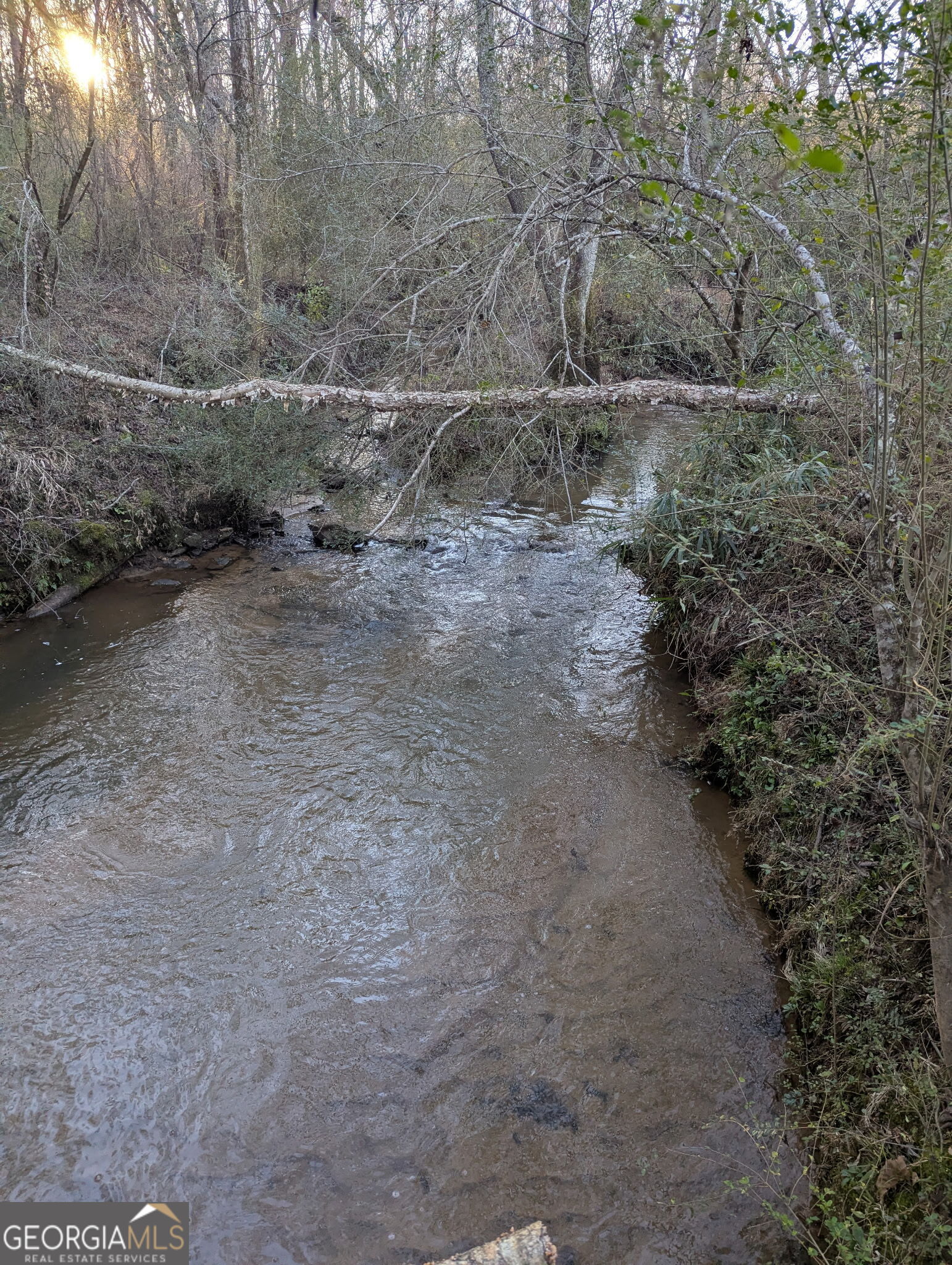 0 Oliver Road Barnesville, GA 30204 - Photo 12 of 13