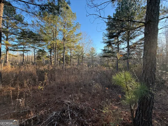 a view of river covered by trees and bushes