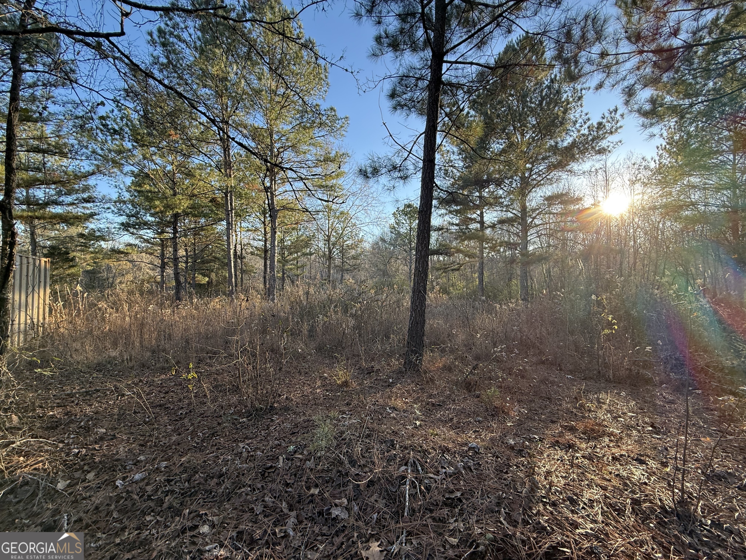 0 Oliver Road Barnesville, GA 30204 - Photo 4 of 13