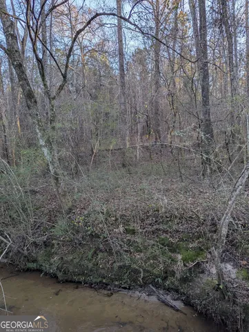 a view of a yard next to a road