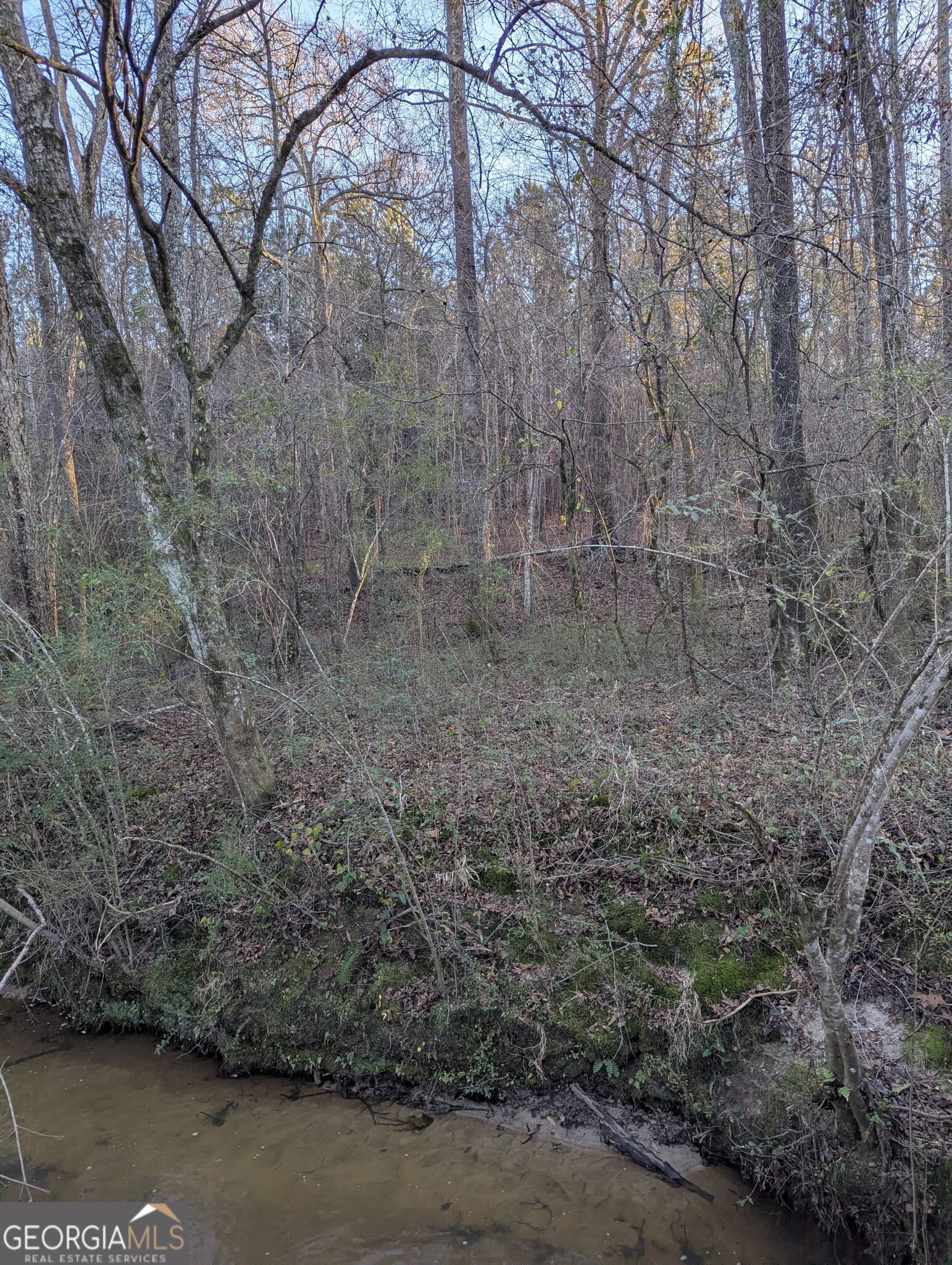 0 Oliver Road Barnesville, GA 30204 - Photo 5 of 13