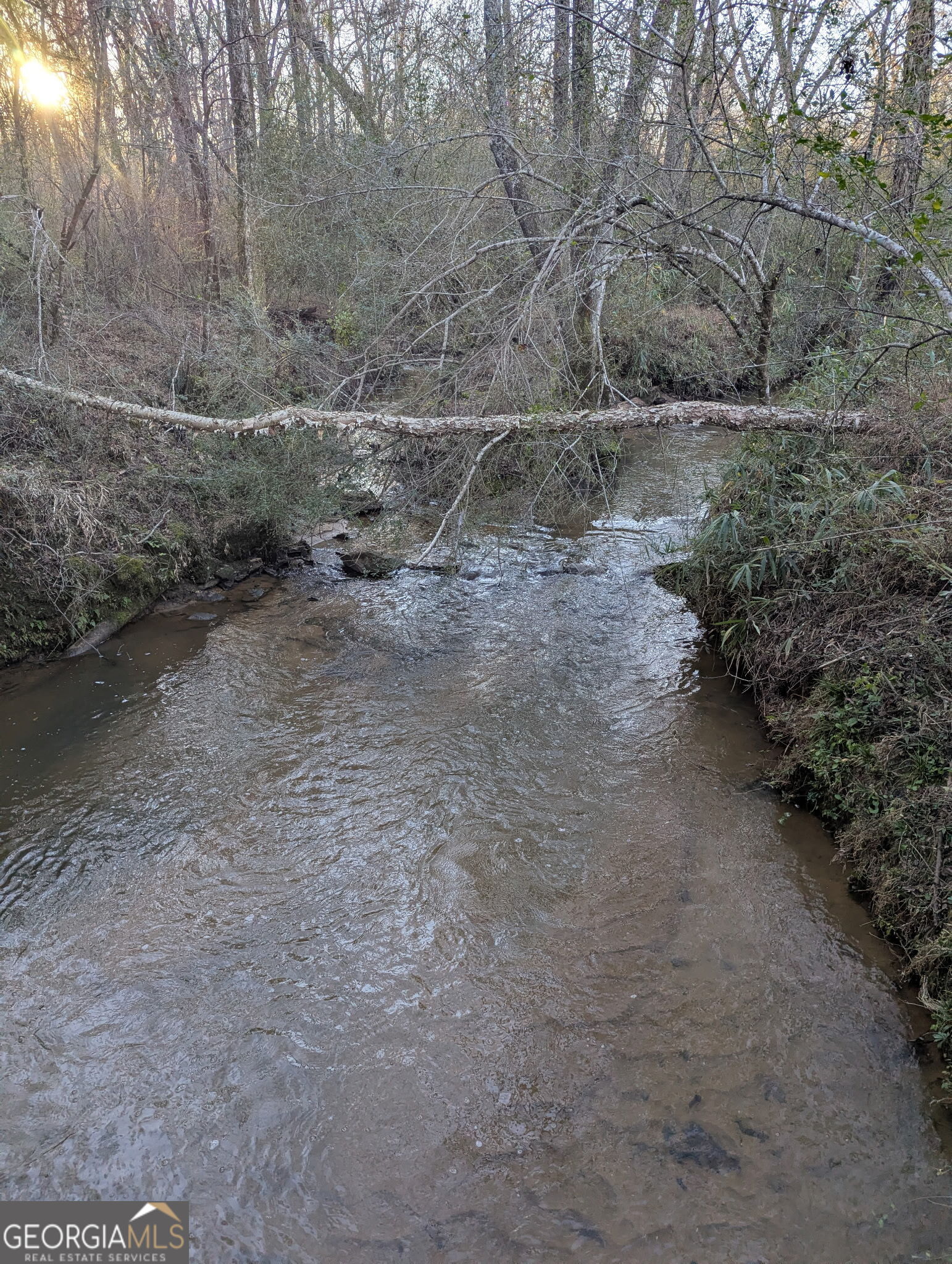 0 Oliver Road Barnesville, GA 30204 - Photo 6 of 13