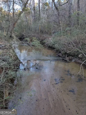 a view of a dry yard with trees