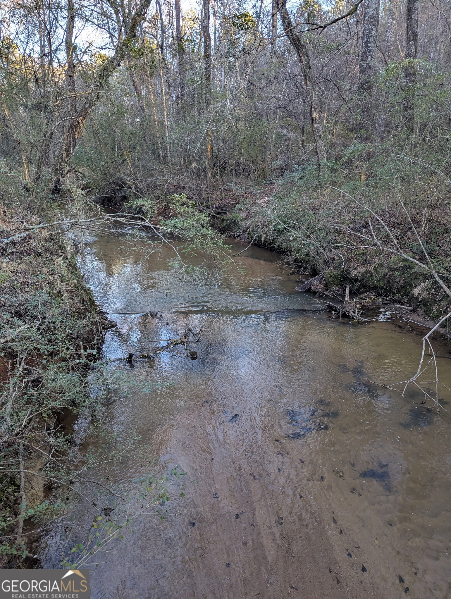 0 Oliver Road Barnesville, GA 30204 - Photo 7 of 13