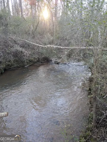 a view of a dry yard with trees