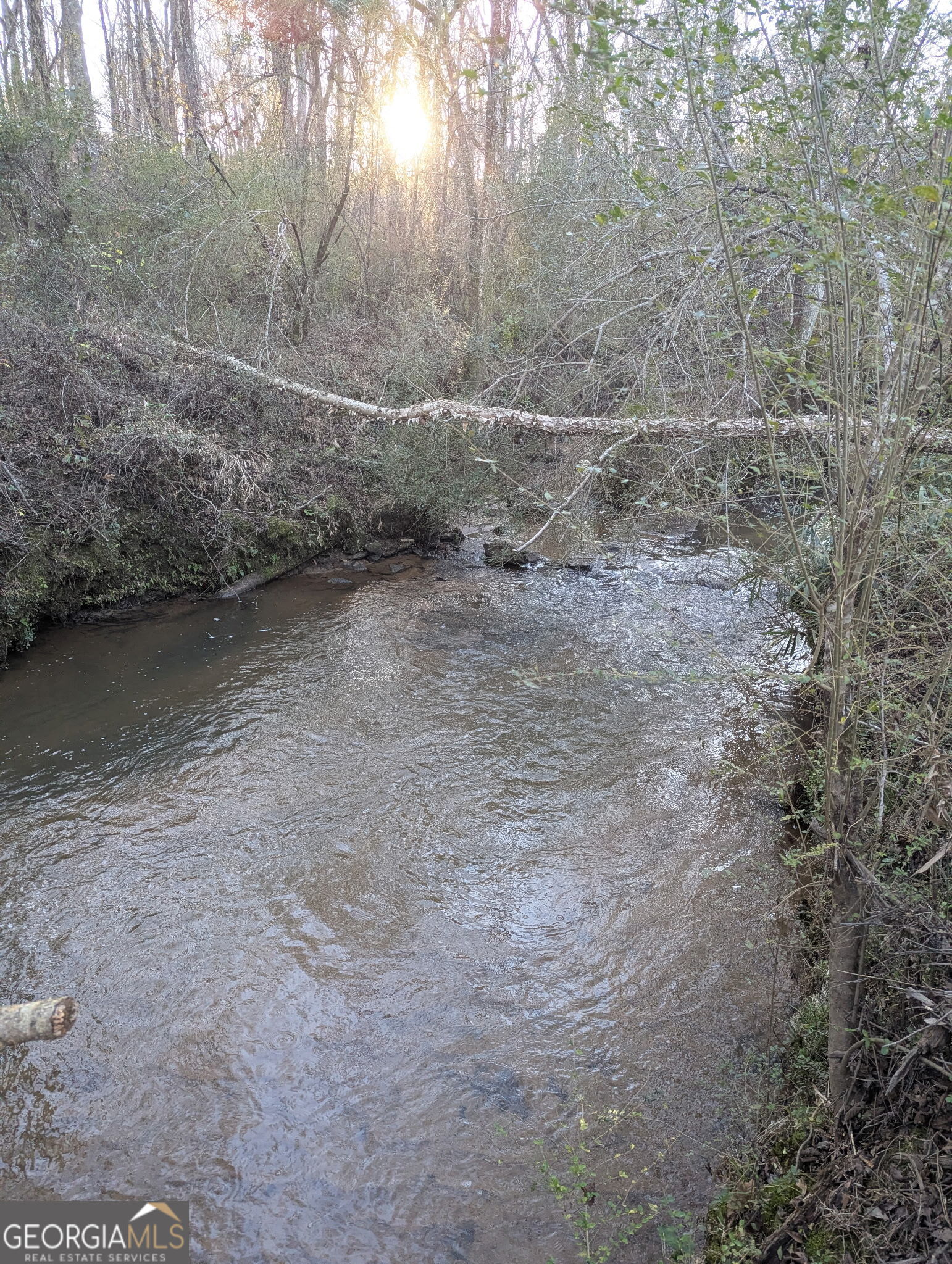 0 Oliver Road Barnesville, GA 30204 - Photo 8 of 13