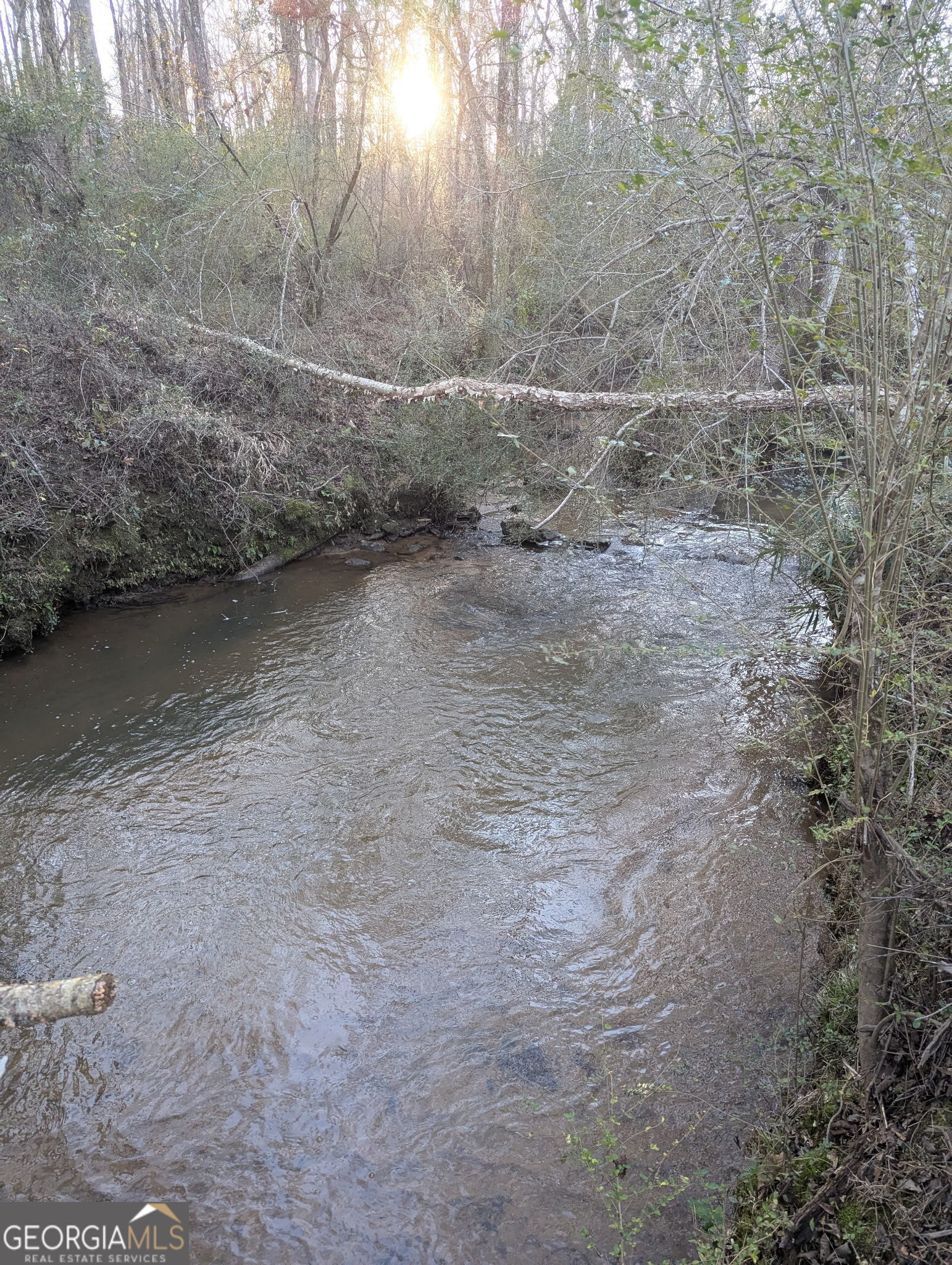 0 Oliver Road Barnesville, GA 30204 - Photo 9 of 13