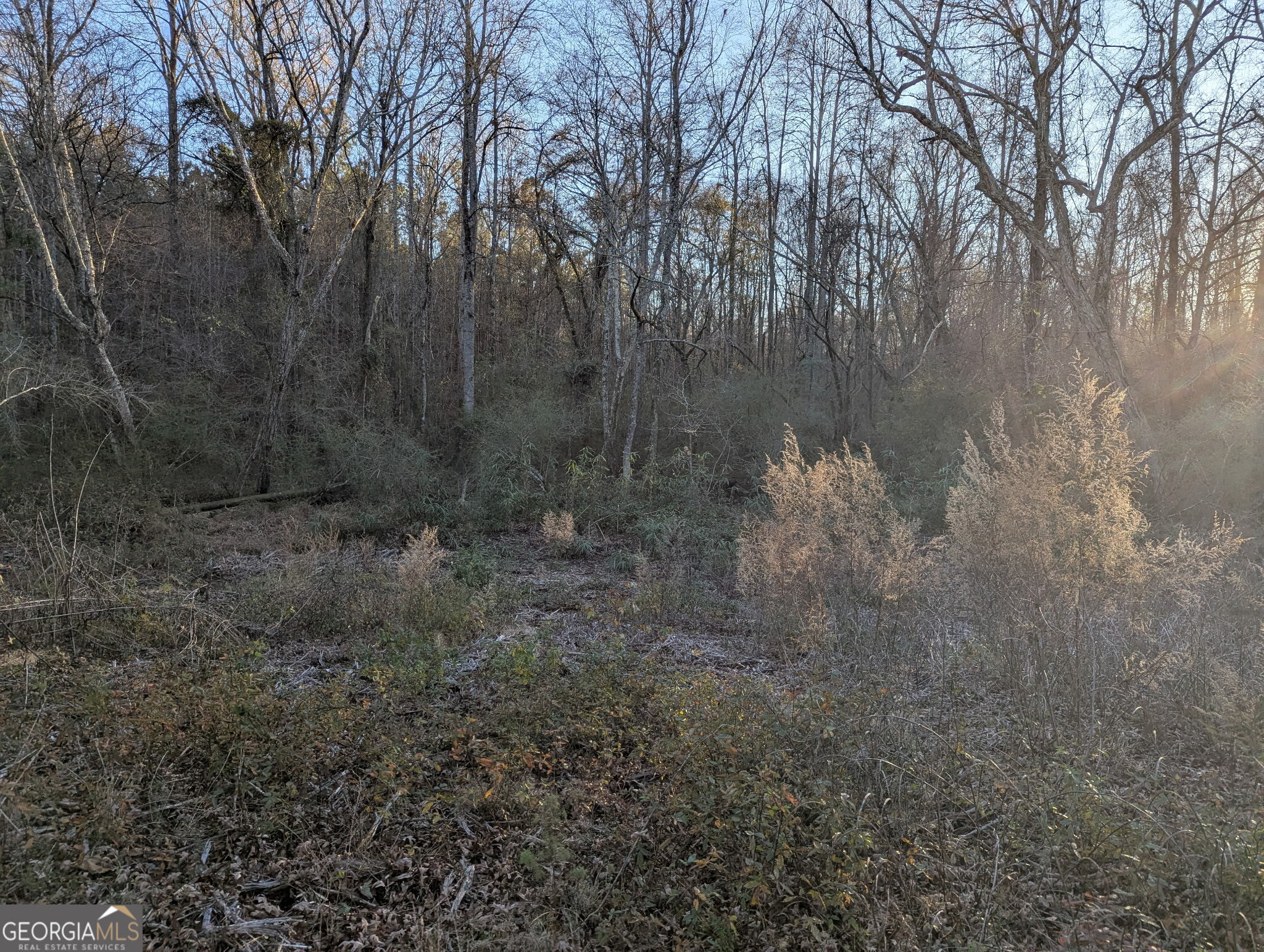 0 Oliver Road Barnesville, GA 30204 - Photo 10 of 13