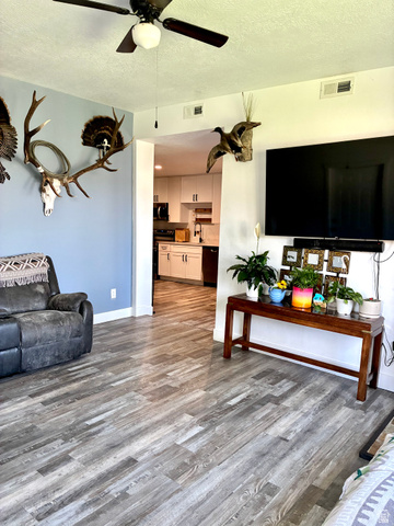 175 Eagle Street Eureka, UT 84628 - Photo 8 of 31 Living room featuring a textured ceiling, ceiling fan, and dark wood-type flooring