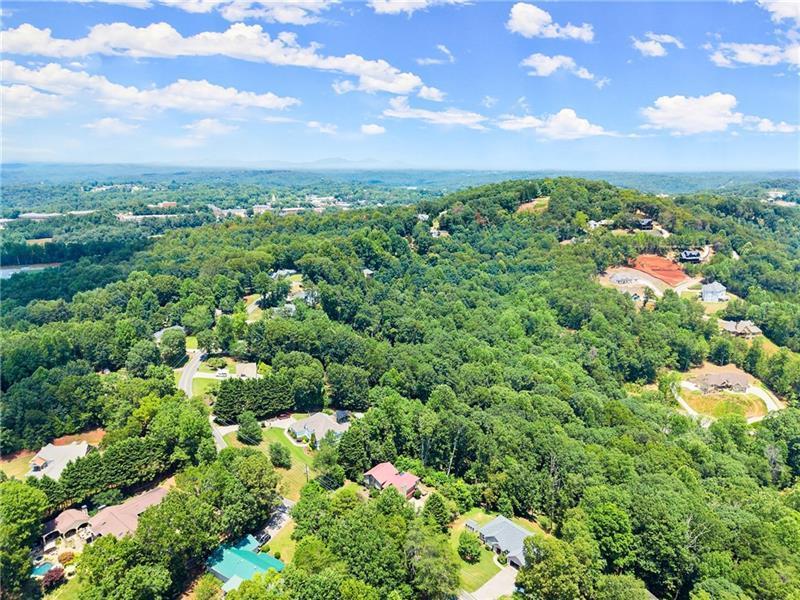735 Calhoun Road Dahlonega, GA 30533 - Photo 52 of 53 a view of a bunch of plants and trees
