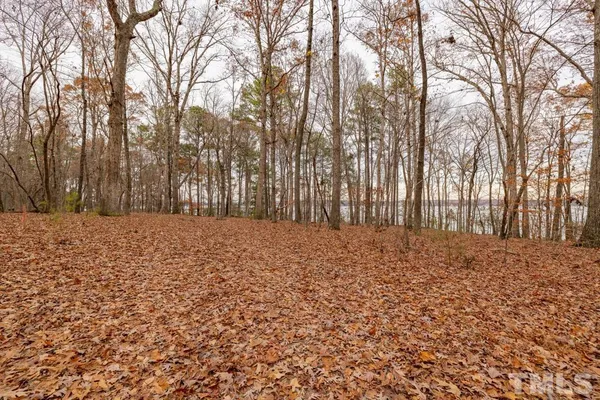 a big yard with lots of green space